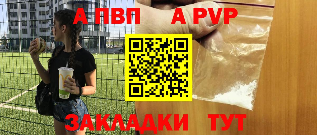 Альфа ПВП СК Владивосток