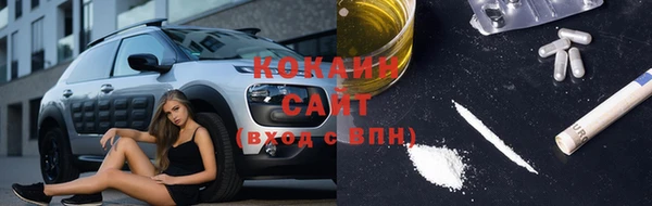 МДПВ Нея