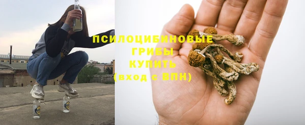амф Нефтекумск