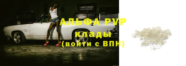 стаф Надым