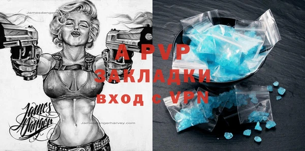 МДПВ Нея