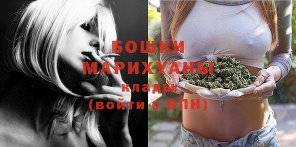 МДПВ Нея