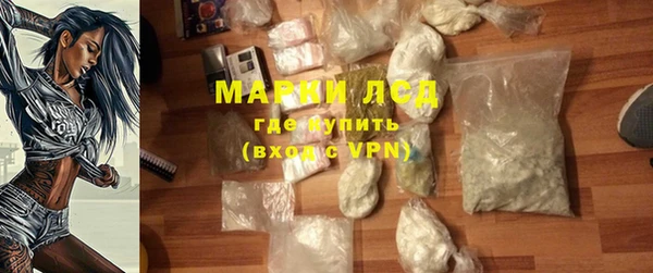 стаф Надым