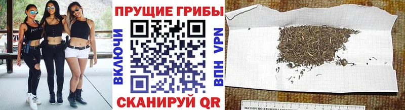 продажа наркотиков  Владивосток  кракен ТОР  Галлюциногенные грибы Cubensis 