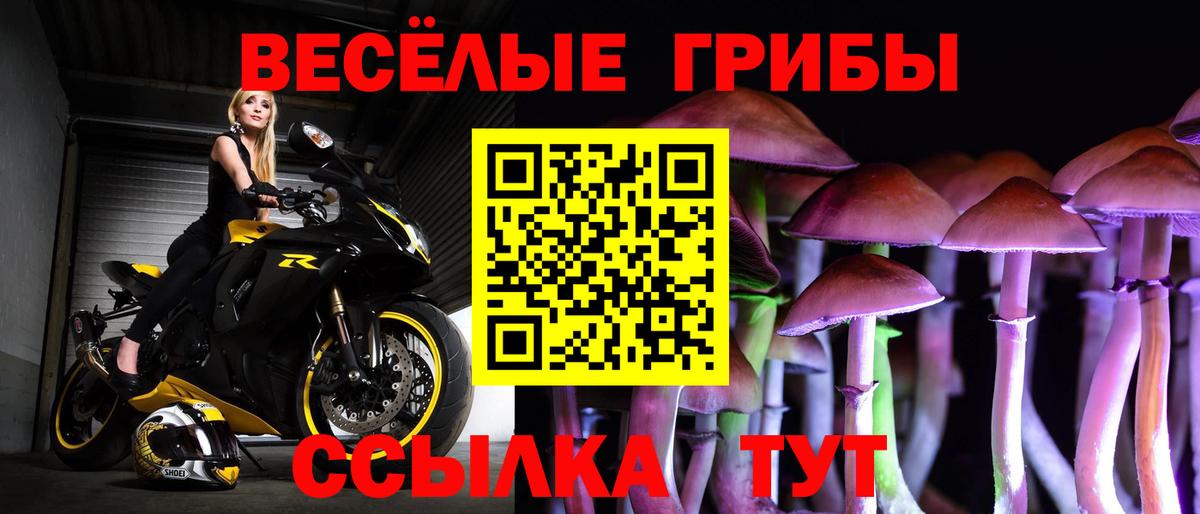 Галлюциногенные грибы Psilocybe  Владивосток  Галлюциногенные грибы MAGIC MUSHROOMS 