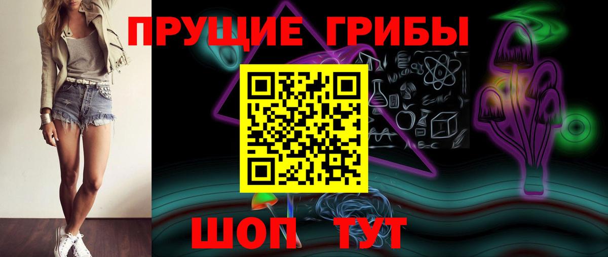Псилоцибиновые грибы GOLDEN TEACHER Владивосток