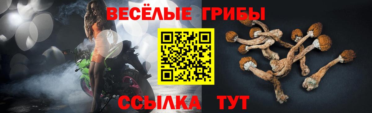 Галлюциногенные грибы Magic Shrooms  Псилоцибиновые грибы ЛСД  Вход с VPN  Владивосток 